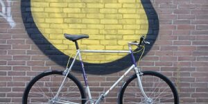 Gazelle fixie / singlespeed