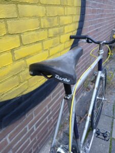 Gazelle fixie / singlespeed